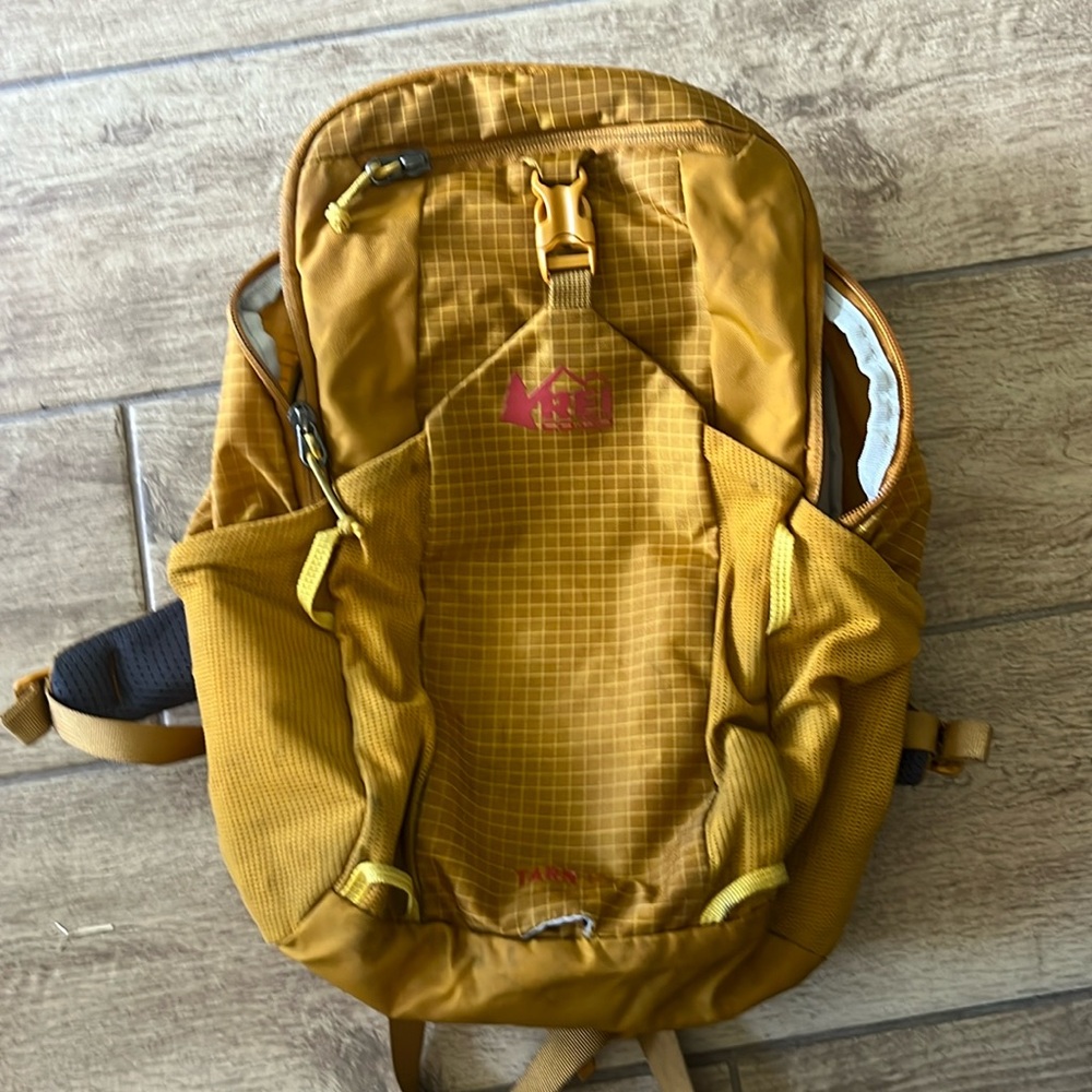 REI Tarn 12 backpack with camelback bladder